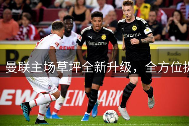曼联主场草坪全新升级，全方位提升球员安全